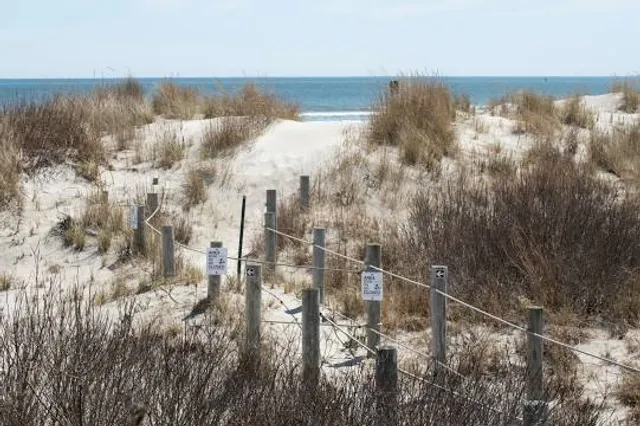 Cape May National Wildlife Refuge