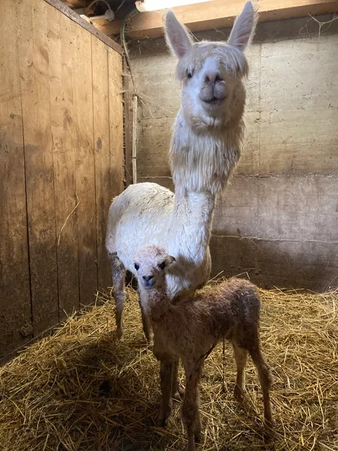 Eco Turismo Valle Imagna