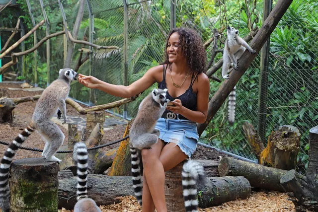 Rivière des Anguilles