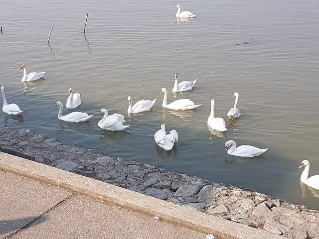 Zavod Za Zastitu Spomenika