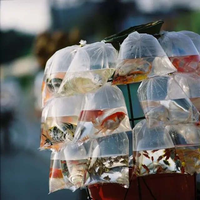 Horrorarium and Torture Museum