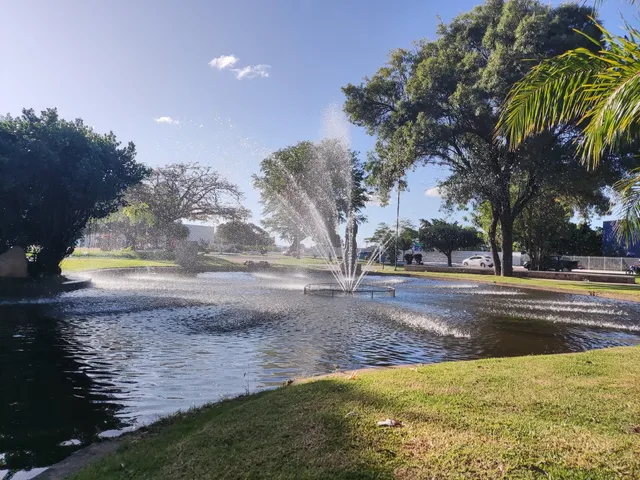 Square Of Mango Trees
