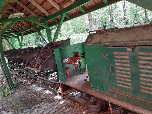Wald- und Moormuseum Berumerfehn