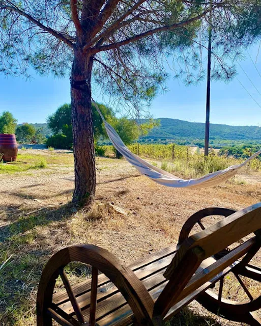 Tenute Filigheddu - Azienda vitivinicola biologica