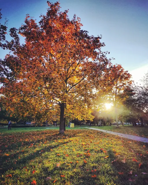 Park Alfréda Wetzlera