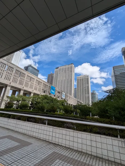 Times Shinjuku Washington Hotel Carpark