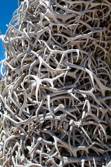 Jackson Hole’s Elk Antler Arch