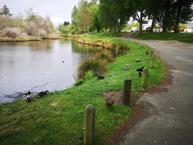 Horseshoe Lake Reserve