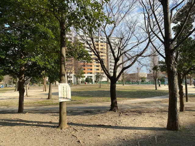 photo-1