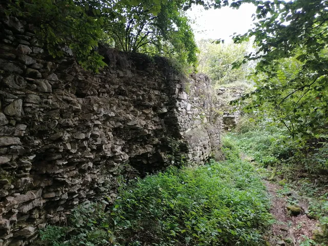 Cetatea Salgo