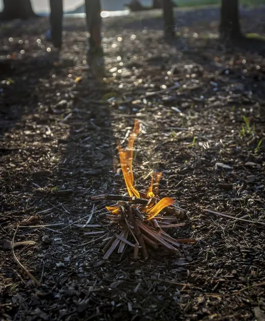 Park of Friendship of Peoples