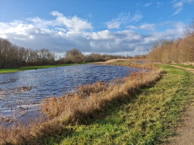 Fobney Island Nature Reserve