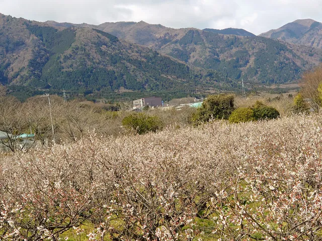 Kaizushi Hokubujosui Park