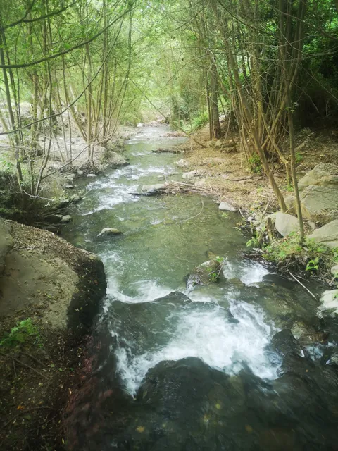 Fuente Agria de Narila