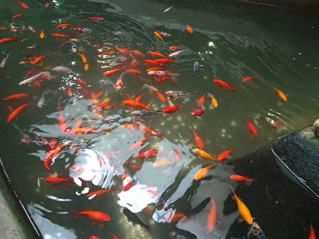 Vivariul Muzeului Național de Etnografie și Istorie Naturală