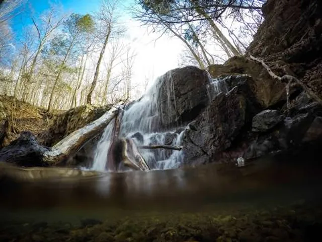 Patapsco Valley State Park - Hollofield Area