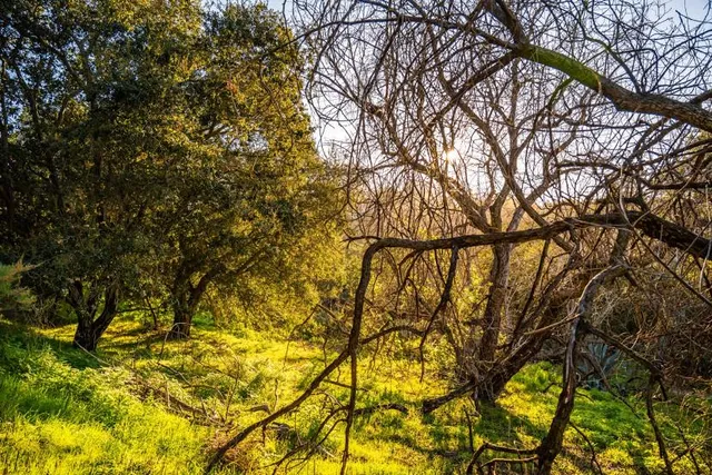 Oak Canyon Nature Center