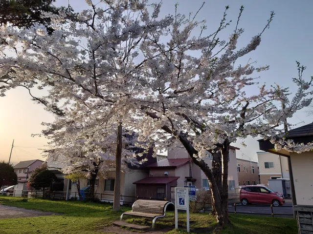 Wakamatsu Ryokuchi Park