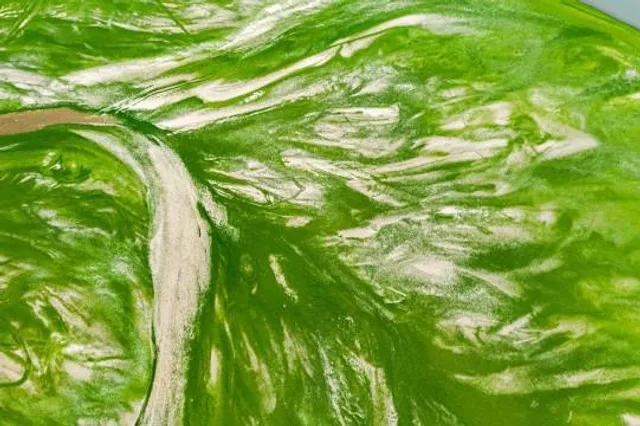 Thomas P. Grater Community Park