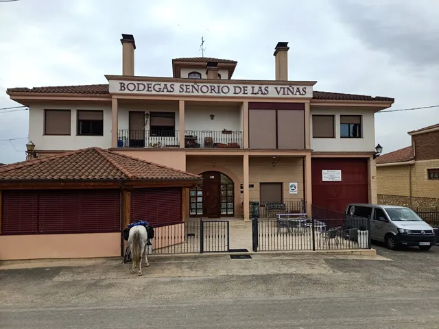 Señorío de las Viñas