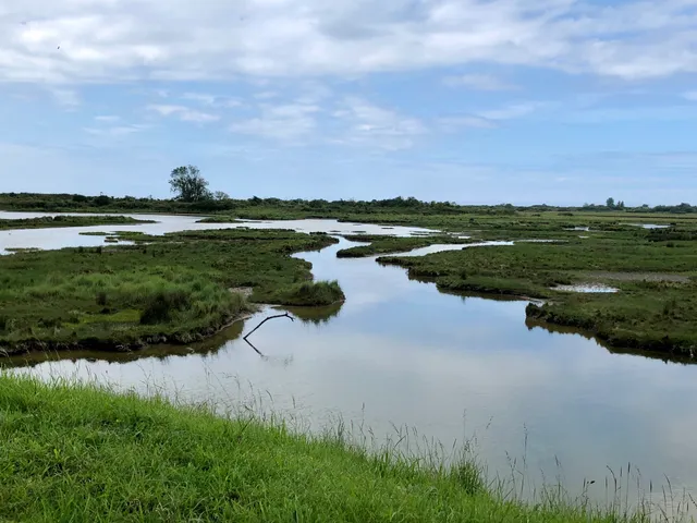 Ornithological reserve of the Big Bench