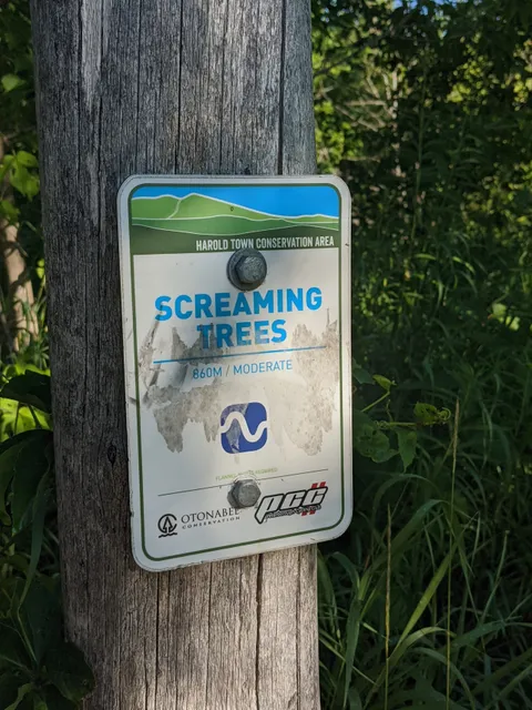 Harold Town Conservation Area