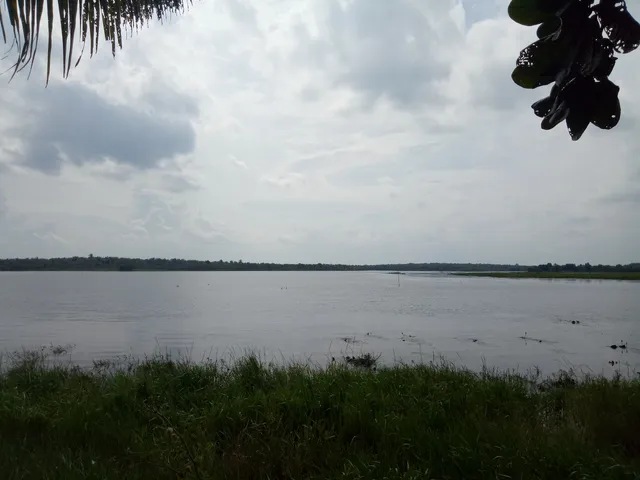 Lake Teluk Gelam Travel