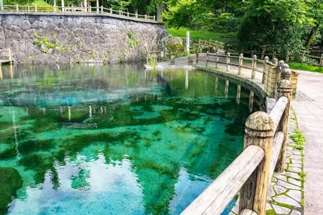 Mt Kirishima Foothill Spring Water Pond