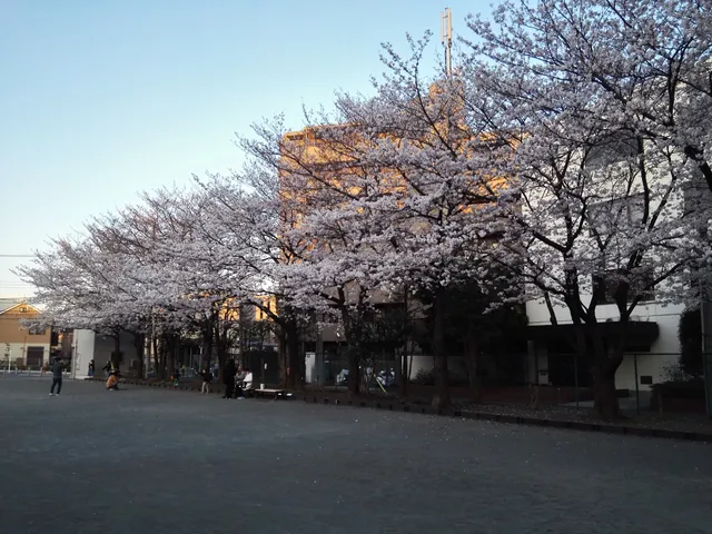 Ichiba Kyu-tokaido Park