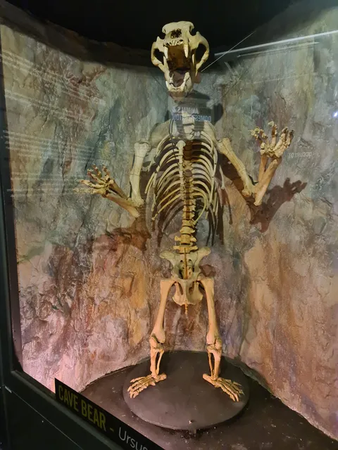 Museum of Prehistory