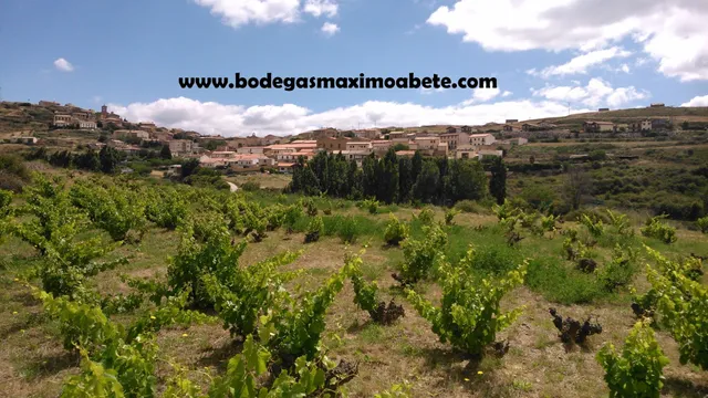 Bodegas Máximo Abete