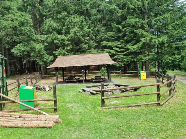 Przełęcz pod Trzeboniem