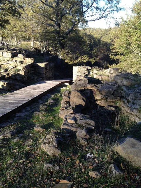 Bosco Tre Cancelli, Tricarico (MT)