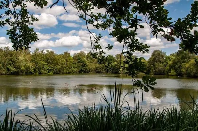 Hilton Gravel Pits Local Nature Reserve
