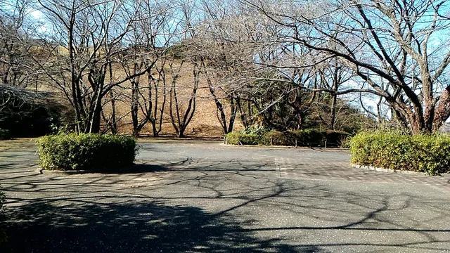 Irohazaka Sakura Park