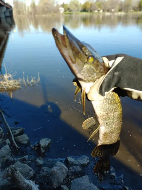 Mississippi Regional Trail