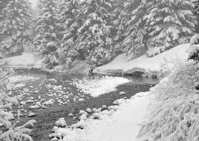 Luhasoo õpperada ja lõkkekoht