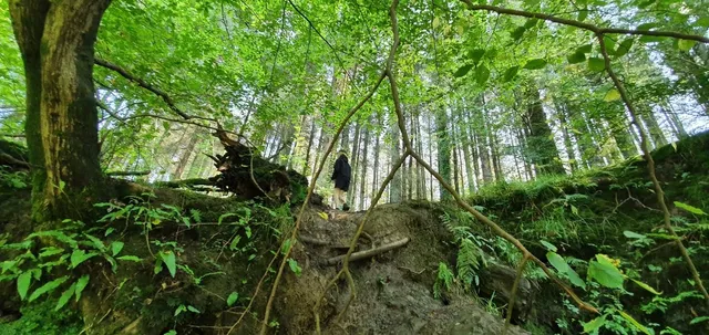 photo-1