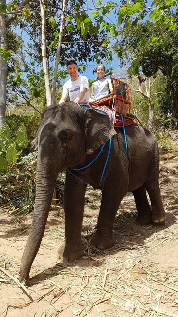 Seaview Elephant Camp