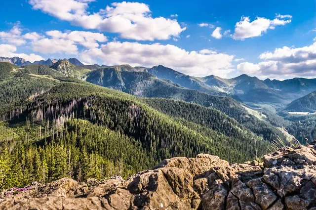 Świstówka Roztocka