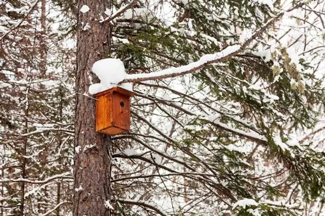 Walter Dick Memorial Park