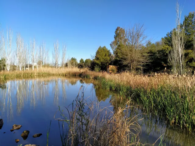 Parque de Cantarranas