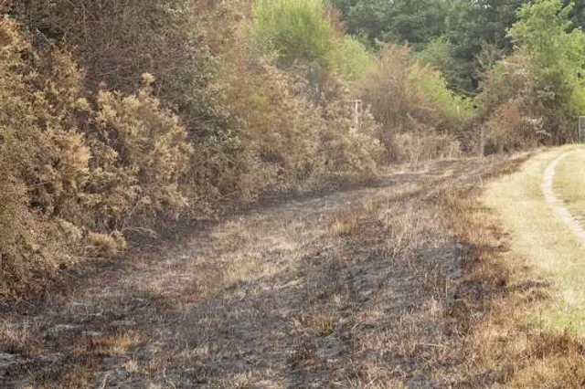 Burnt Meadow Trailhead