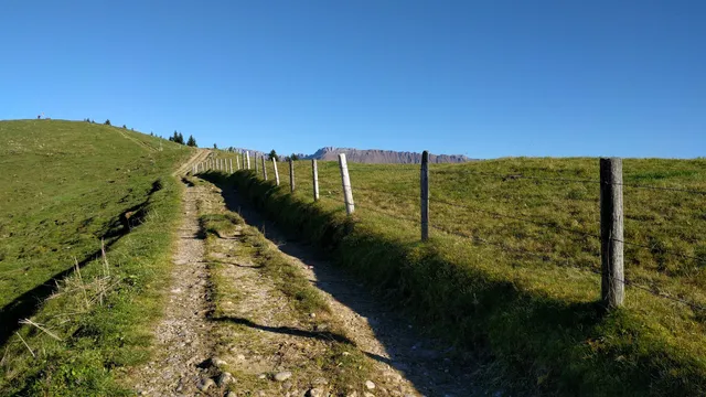 photo-1