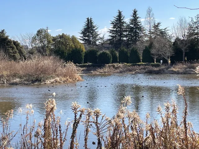 Itakura Central Park