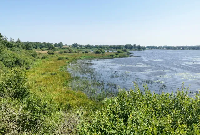 Réserve naturelle nationale de l'étang des Landes
