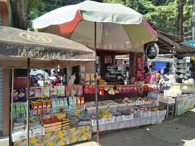 มะพร้าวถอดรูป