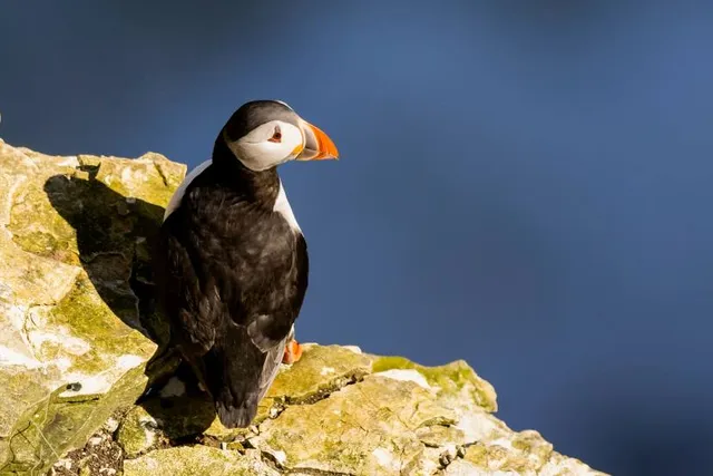 Nippara limestone caves
