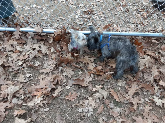 Somersworth Recreation Department