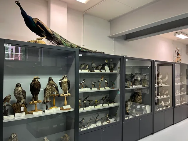 MUSEO SCIENZE NATURALI